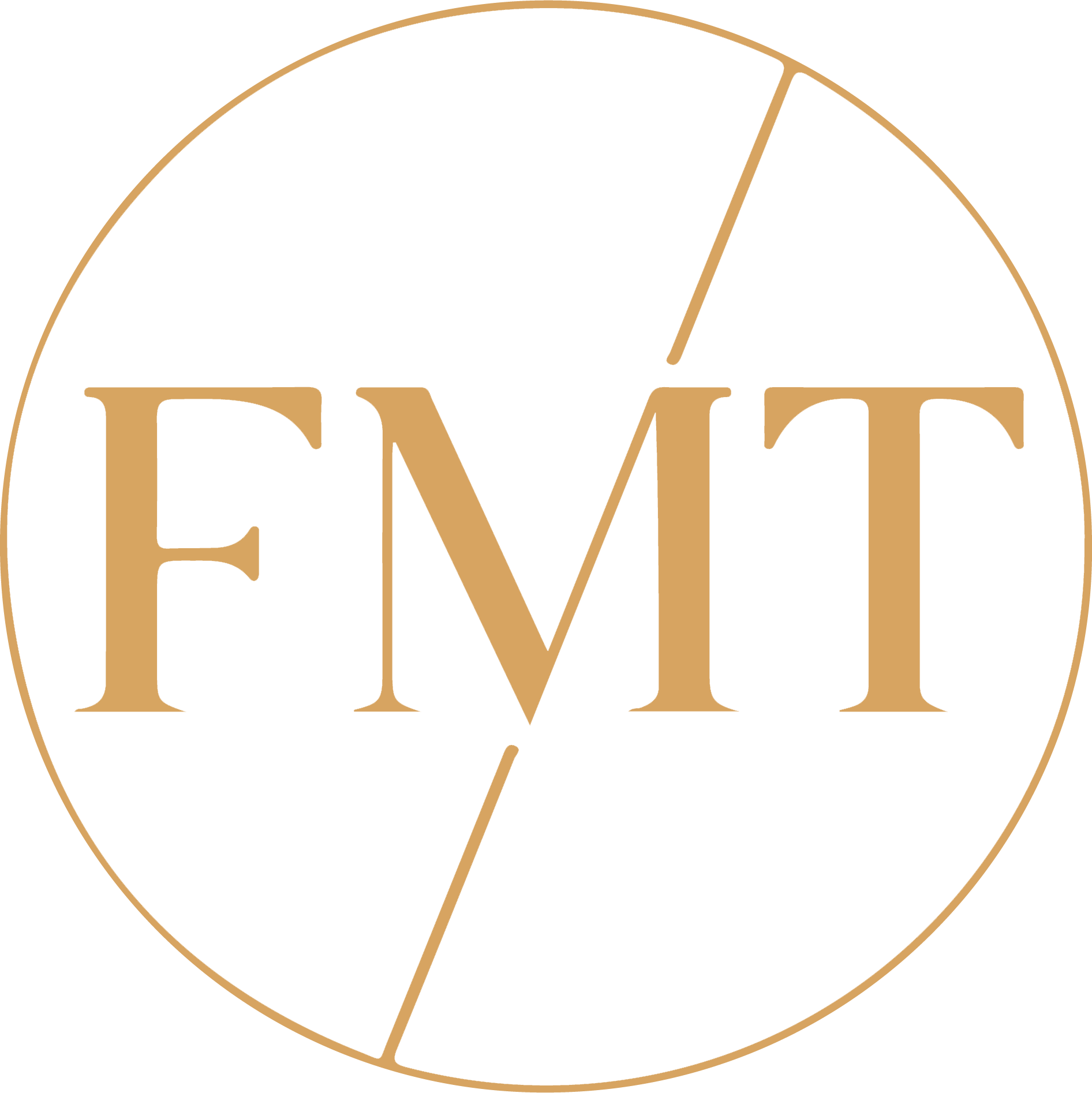 Logo FMT Formations